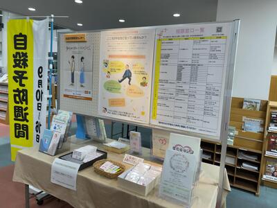 展示の様子2