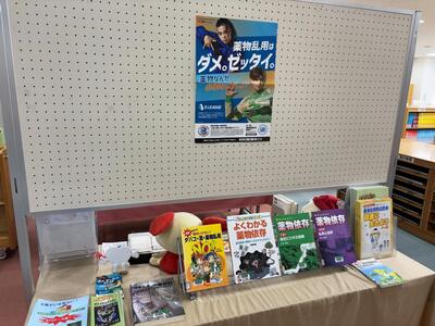 展示2