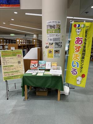 展示の様子