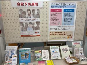 展示1